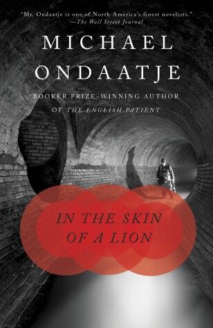 Book cover for In the Skin of a Lion