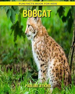 Book cover for Bobcat