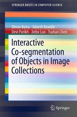 Cover of Interactive Co-segmentation of Objects in Image Collections