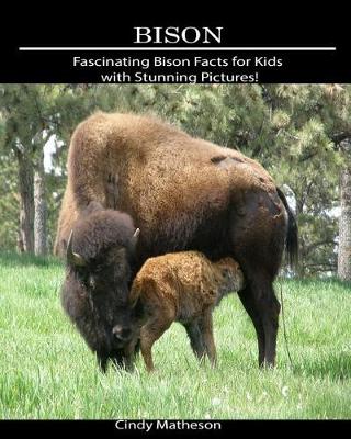 Book cover for Bison