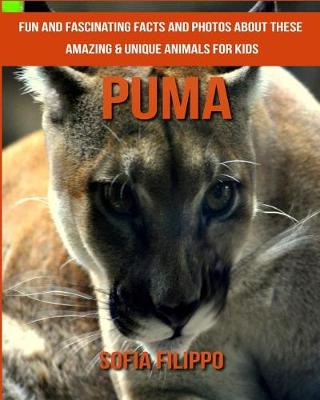 Book cover for Puma