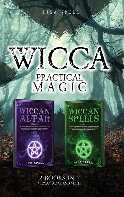 Book cover for Wicca Practical Magic