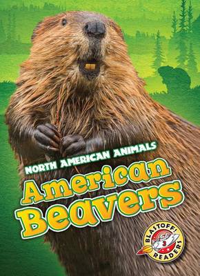 Book cover for American Beavers