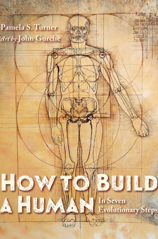 Cover of How to Build a Human