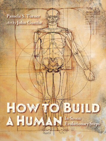 Book cover for How to Build a Human