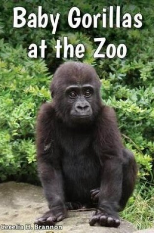 Cover of Baby Gorillas at the Zoo