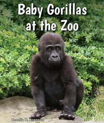 Cover of Baby Gorillas at the Zoo