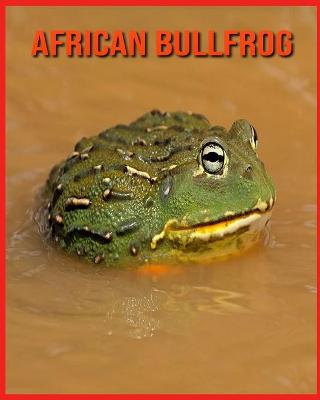 Book cover for African Bullfrog