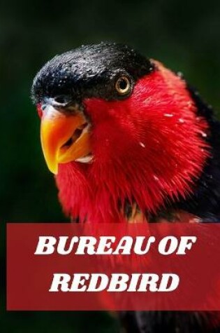 Cover of Bureau of Redbird