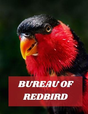 Book cover for Bureau of Redbird