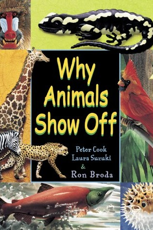 Cover of Why Animals Show Off