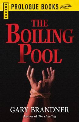 Book cover for The Boiling Pool