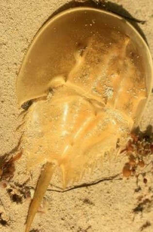 Cover of Horseshoe Crab on the Beach