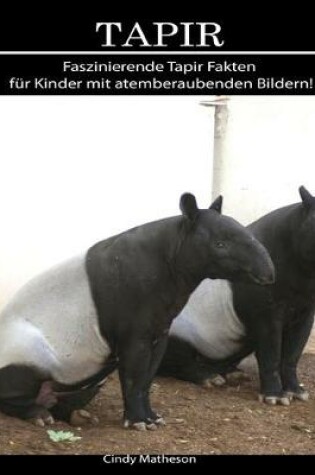 Cover of Tapir