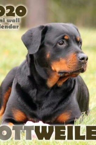 Cover of Rottweiler 2020 Mini Wall Calendar