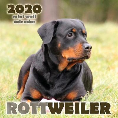 Book cover for Rottweiler 2020 Mini Wall Calendar