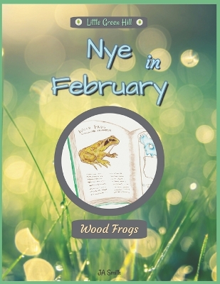 Book cover for Nye In February