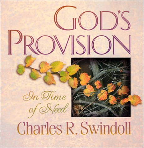 Book cover for God's Provision in Time of Need