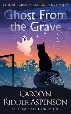 Cover of Ghost From the Grave