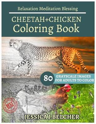 Book cover for CHEETAH+CHICKEN Coloring Books