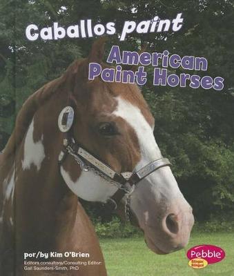 Cover of Caballos Paint/American Paint Horses