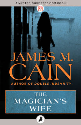 Book cover for The Magician's Wife