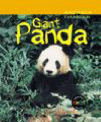 Cover of Animals in Danger: Giant Panda (Cased)
