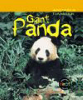 Book cover for Animals in Danger: Giant Panda (Cased)