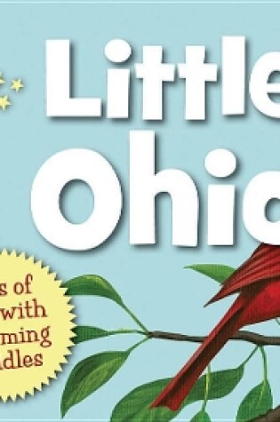 Cover of Little Ohio