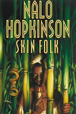 Book cover for Skin Folk