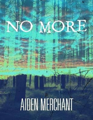 Book cover for No More