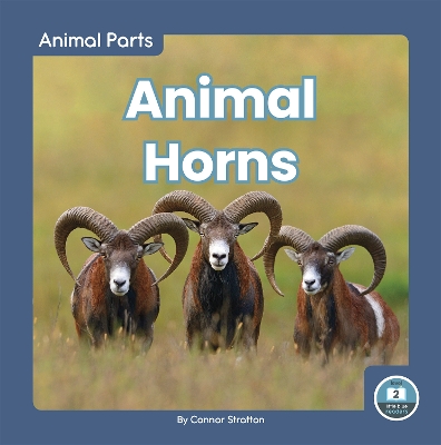 Book cover for Animal Parts: Animal Horns