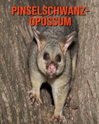 Book cover for Pinselschwanz-Opossum