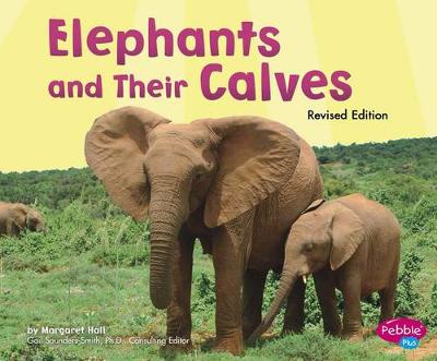 Book cover for Elephants and Their Calves (Animal Offspring)