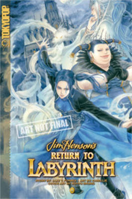 Book cover for Return to Labyrinth
