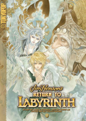 Book cover for Return to Labyrinth