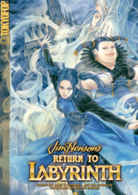 Book cover for Return to Labyrinth