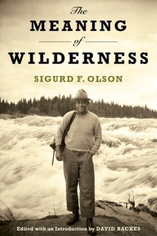 Cover of The Meaning of Wilderness