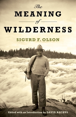 Book cover for The Meaning of Wilderness