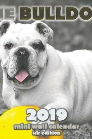 Cover of The Bulldog 2019 Mini Wall Calendar (UK Edition)