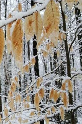 Cover of Winter Journal Snowy Forest Branch