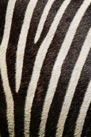 Cover of Black and White Zebra Stripes Journal