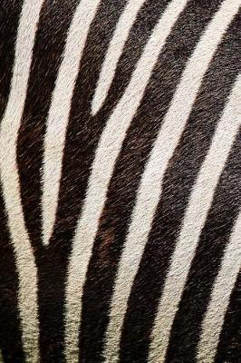 Book cover for Black and White Zebra Stripes Journal