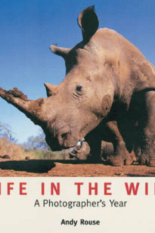 Cover of Life in the Wild