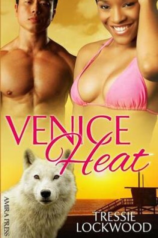 Cover of Venice Heat