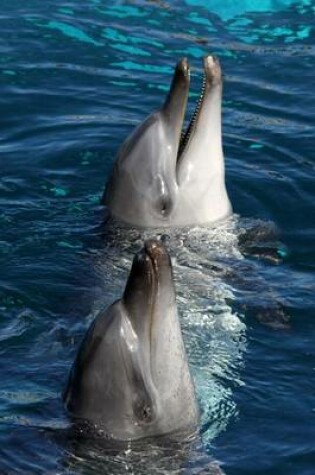 Cover of Two Friendly Dolphins Marine Animal Journal