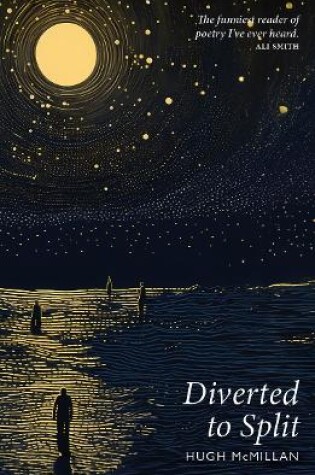 Cover of Diverted to Split