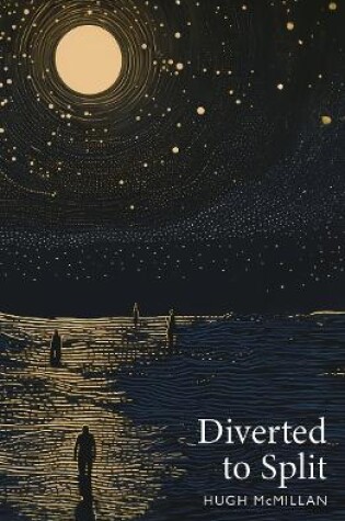 Cover of Diverted to Split