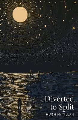 Book cover for Diverted to Split