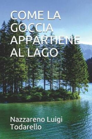 Cover of Come La Goccia Appartiene Al Lago